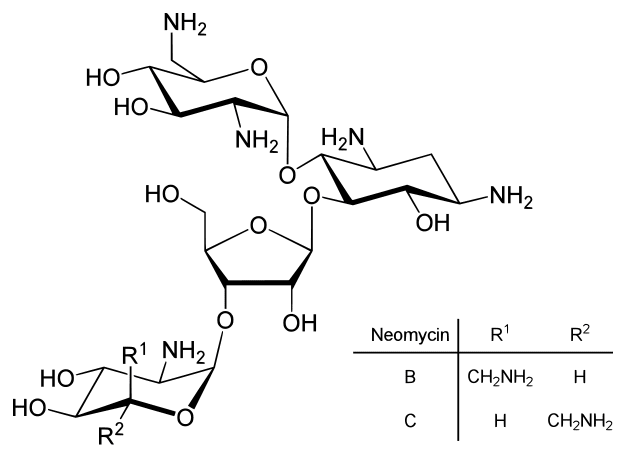 Неомицин — описание вства, фармакология, применение .