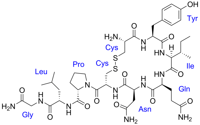 Структурная формула Окситоцин