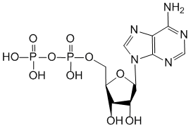 Структурная формула Аденозина фосфат