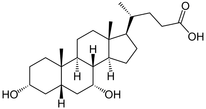 Структурная формула Хенодеоксихолевая кислота