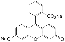 Структурная формула Флуоресцеин натрия