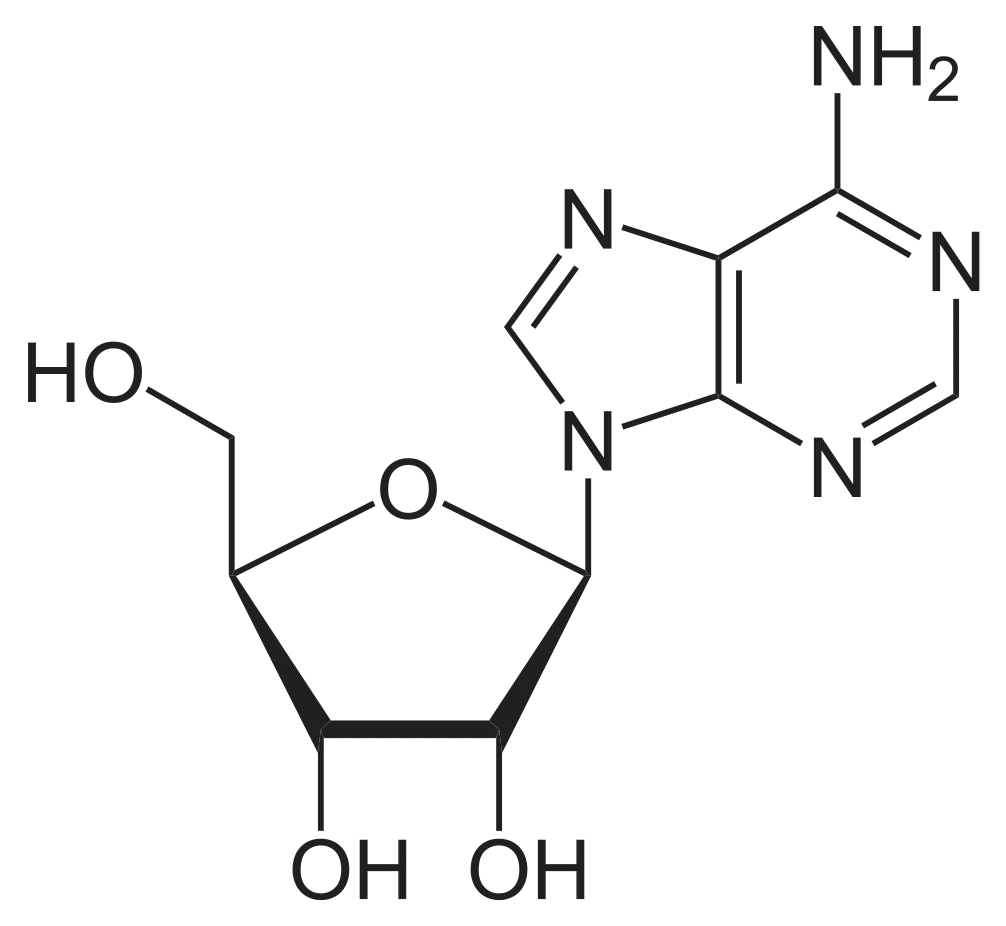 Структурная формула Аденозин