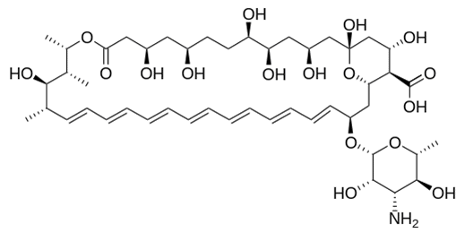 Структурная формула Амфотерицин B