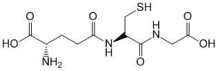 Структурная формула Глутатион