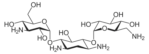 Структурная формула Канамицин