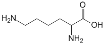Структурная формула Лизин