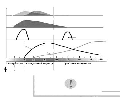 Изменения серологических показателей при ОВГ А