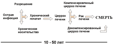 Возврат болезни. Механизм течения гепатита в наглядно. Гепатит v1 v2 v3 что это.