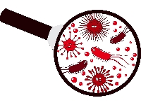 Все, что нужно знать об антибиотиках