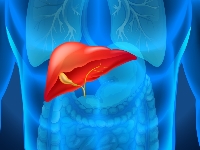 Тоцилизумаб: гепатотоксичность