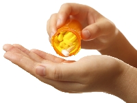 «Берингер Ингельхайм» — «Работодатель мечты» 2019