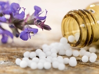 Размещены 10 новых описаний ЛС