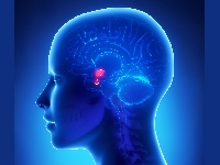 Пэгвисомант