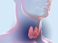 Эксенатид: опухоли щитовидной железы
