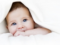 Респираторные инфекции и бронхолегочные заболевания