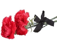 Проведение технических работ 5 декабря с 01:00 до 05:00