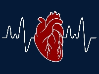 Новая информация в описаниях 7 ЛС