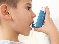 Услуги по гармонизации с кодами ЕСКЛП для участников контрактной системы