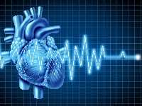 РинФаст, Эводин