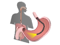 XXII Всероссийсий научно-образовательный форум «Мать и Дитя – 2021»