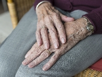 В Москве завершился российско-японский симпозиум «Диагностика и лечение раннего рака желудка»