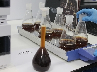 Метиламинолевулинат — новое описание