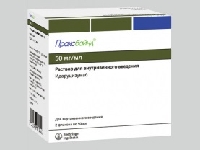 В «Аптекарском огороде» открылся тактильный сад