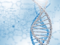 Биопринтер BioDrop Сеченовского университета произведет переворот в регенеративной медицине