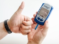 Дона, Легалон 140, Отинум