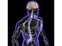 В Московской области начнут лечить детей от гепатита С инновационными методами  