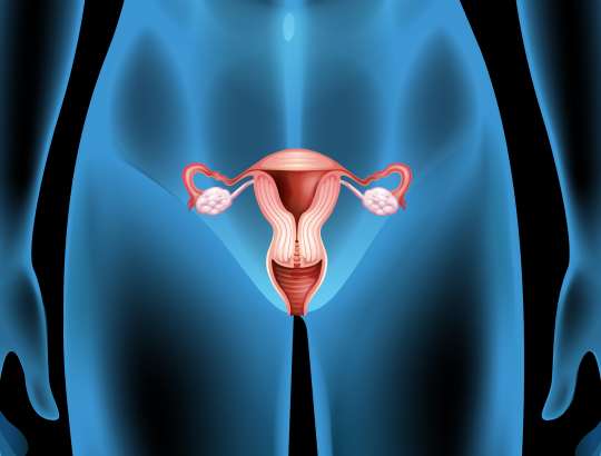 Вакцинация, скрининг, лечение — стратегия успешной борьбы с раком шейки матки