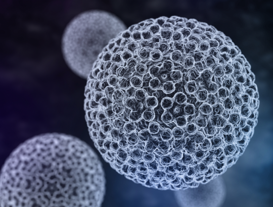 ВПЧ у молодежи: теоретические и практические аспекты проблемы