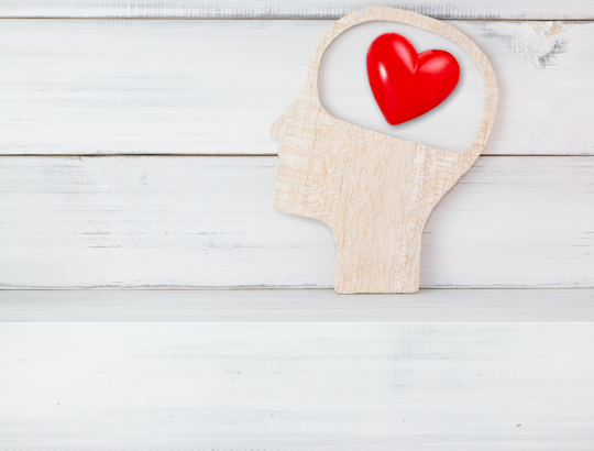 Возвращение легенды: Фенотропил<sup>®</sup> снова появится на прилавках аптек