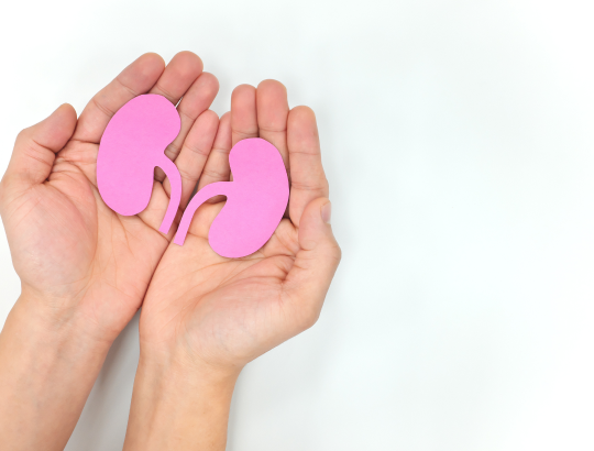 НефроБест-Н, НефроБест