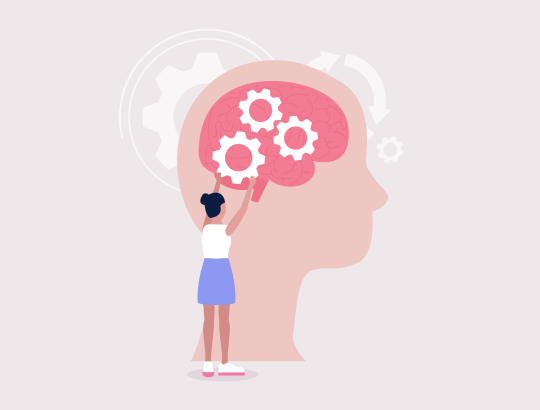 БРЕЙНМАКС<sup>®</sup> — новое описание