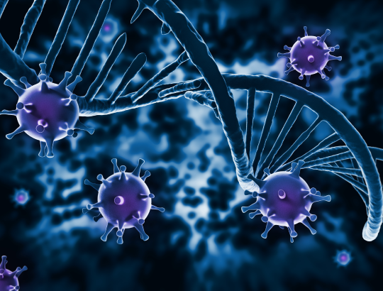 Зидовудин — новое описание