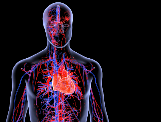 Дипиридамол — новое описание