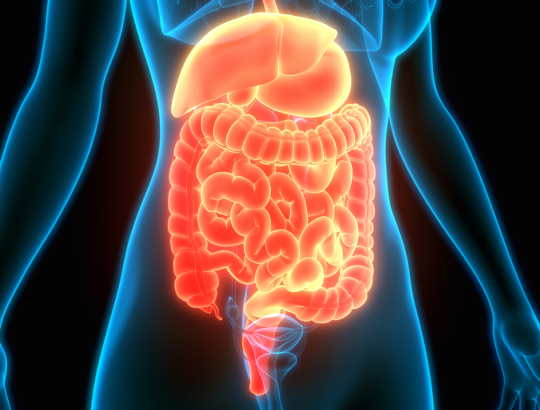 Конференция «Гастроэнтерология в клинических примерах»