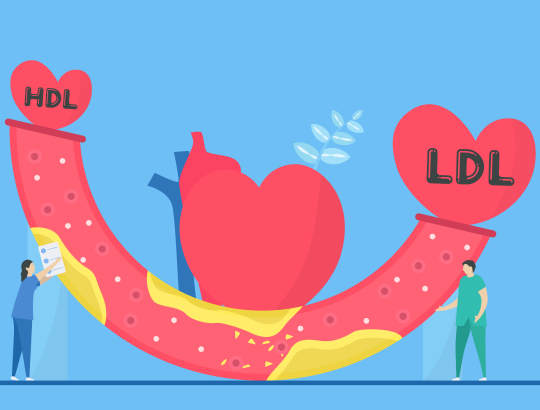 Аторвастатин — новое описание