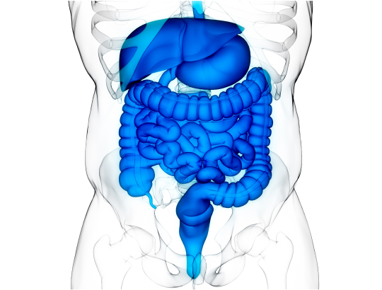 Dr.Reddy’s участвует в разработке программы по гастроэнтерологии для врачей и пациентов