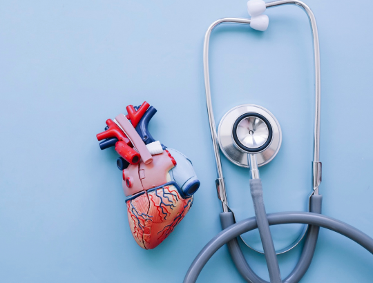 Митральный стеноз: новая информация для специалистов