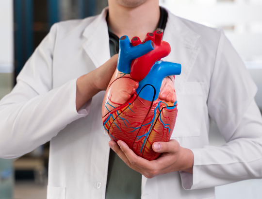 Cиндром слабости синусового узла: новая информация для специалистов