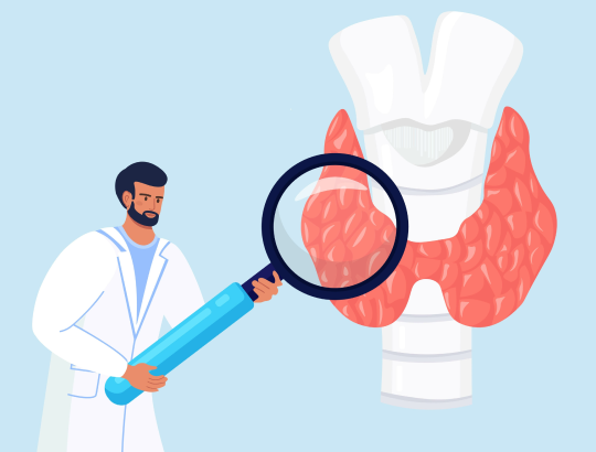 Школа профессора Т.Ю. Демидовой для врачей-эндокринологов