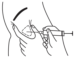 Способ применения и дозы Фер-Ромфарм