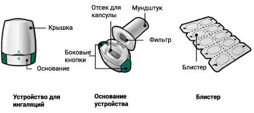 Способ применения и дозы Энерзейр Бризхалер®