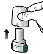 Способ применения и дозы Энерзейр Бризхалер®