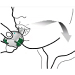 Способ применения и дозы Энерзейр Бризхалер®