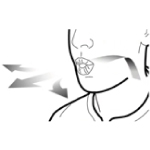 Способ применения и дозы Энерзейр Бризхалер®