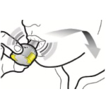 Способ применения и дозы Ультибро® Бризхалер®