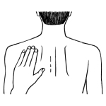 Способ применения и дозы Экселон®